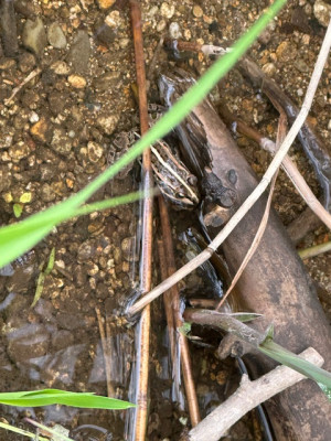 image8