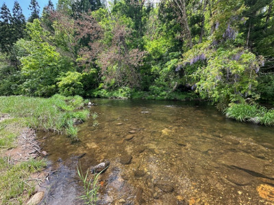 image11