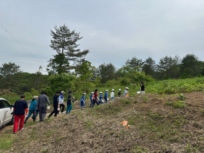 image11