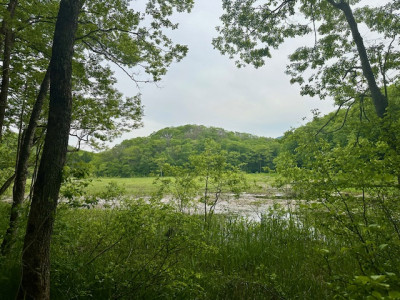 image0
